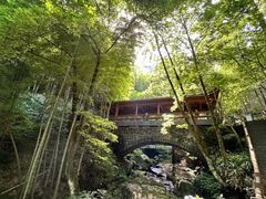 -藏龙百瀑风景区