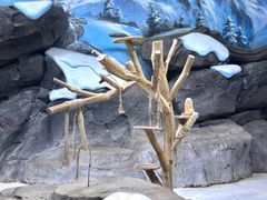 -海合安青岛极地海洋公园