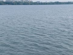 -蠡湖大桥公园