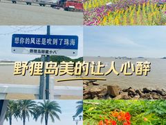 -野狸岛