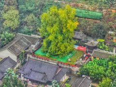 -终南山国家森林公园