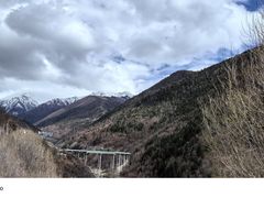 -卧龙自然保护区
