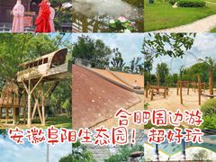 -祥源·阜阳生态乐园