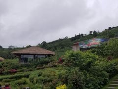 -优游吧斯邹族文化部落