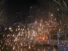 -海合安武汉极地海洋公园