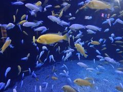 -成都浩海立方海洋公园