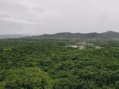 -宜兴龙背山森林公园