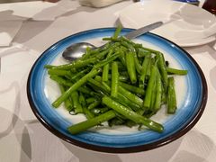 -峨嵋一派
