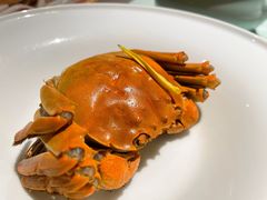 -蟹榭·本帮江浙菜·蟹宴(五角场合生汇商场店)