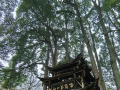 -青城山