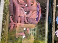 -品海楼·大连海胆锅贴馆(东港店)