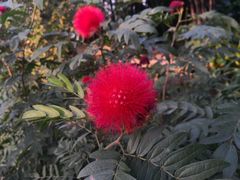 -晓港公园
