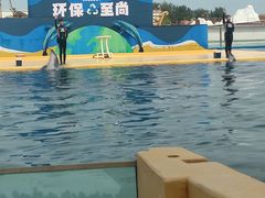 -秦皇岛乐岛海洋王国