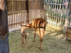 -水上乐园·欢乐世界