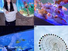 -左海海底世界