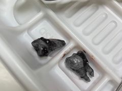 -上海市黄浦区牙病防治所(江西中路门诊部)