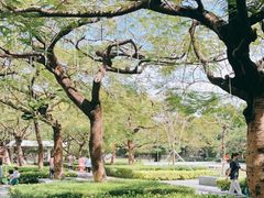 -燕晗山郊野公园