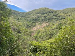 -广州白江湖森林公园