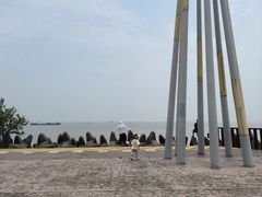 -上海滨江森林公园