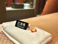 -菩泰·泰式草本按摩SPA(武汉新天地南馆店)