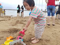 -碧海金沙