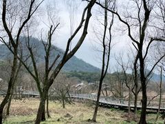 -西湖风景区-江洋畈生态公园