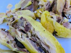白切农家土鸡-全乐鱼馆·淳牌有机鱼直营店