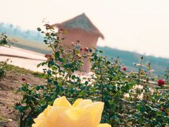 -武汉紫薇都市田园