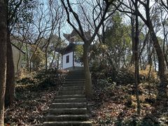 -上海佘山国家森林公园天马山园