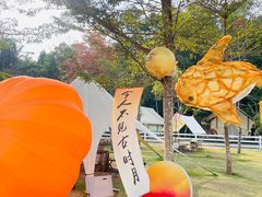 -云栖山谷野奢营地