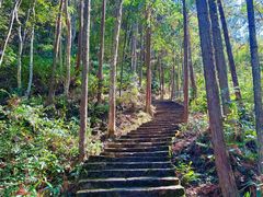 -龙湾潭国家森林公园