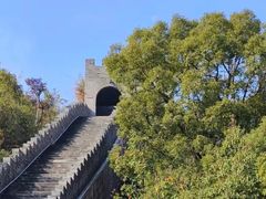 -黄贤森林公园