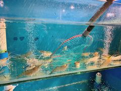 -Thai Basil罗勒叶泰式餐厅(时代天街店)