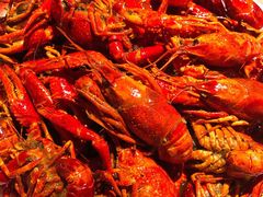 招牌龙虾-沪小胖小龙虾(淮海中路旗舰店)