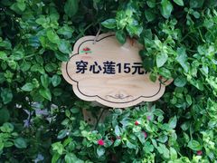 -晶宝温泉农庄