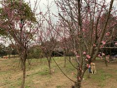 -首开·龙湖成都西宸天街