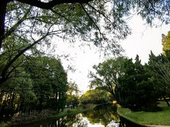 -上海共青森林公园