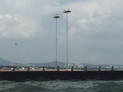 -日照世帆赛基地