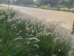 -汉长安城未央宫国家考古遗址公园