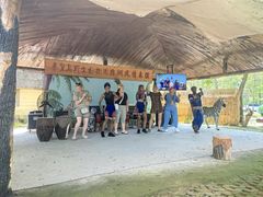 -秦皇岛野生动物园