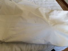 床单上的黑点-汉庭(天津滨江道步行街店)