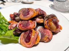 血蚶-高佳庄·舟山海鲜(海景旗舰店)