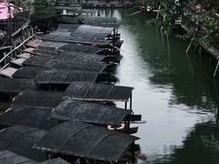 -乌镇西栅景区