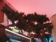 -桂满陇·蟹黄小笼汤包(中山公园店)