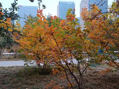 -元大都城垣遗址公园