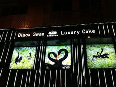 -BLACKSWAN黑天鹅(环球店)