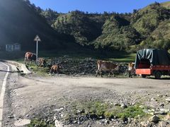 -硗碛藏寨·神木垒景区