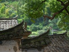 -杨家堂村