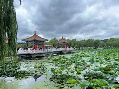 -长春市南湖公园