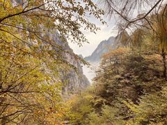 -秦岭风景区
